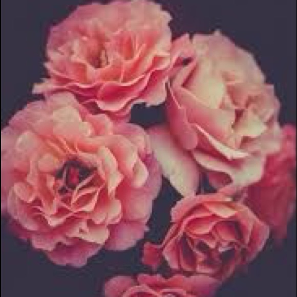 Meet your Posher, Ashley - Picture 1 of 1